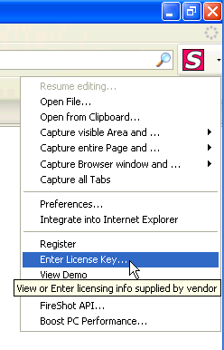 fireshot internet explorer